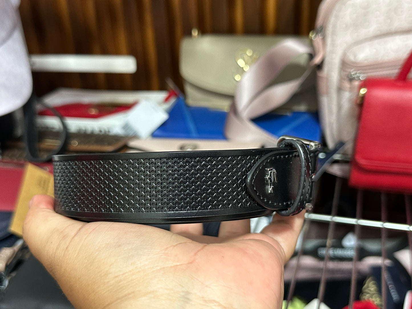 CINTURÓN LACOSTE (L) Hombre